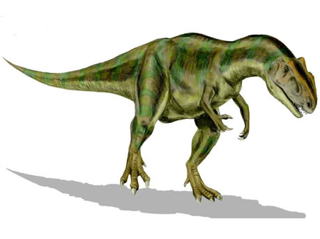 allosaurus