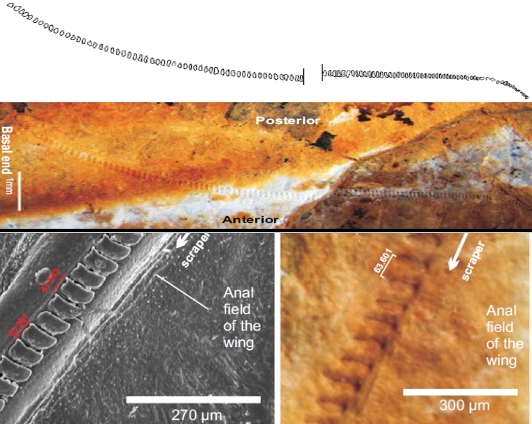 Gu et al., PNAS